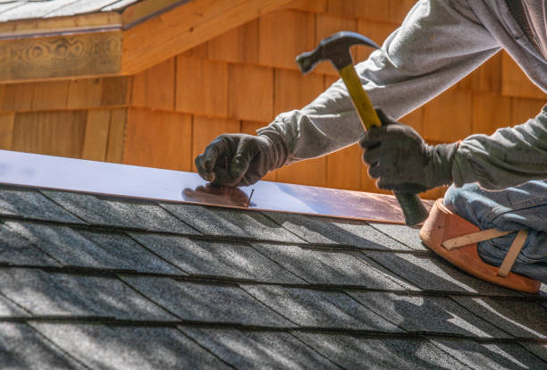 Best Steel Roofing  in Collings Lakes, NJ