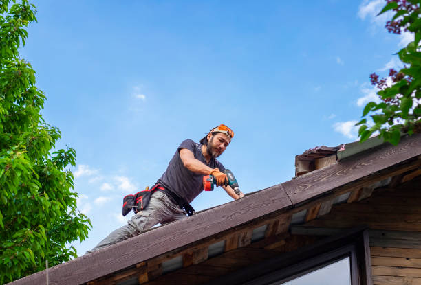 Best Asphalt Shingles Roofing  in Collings Lakes, NJ